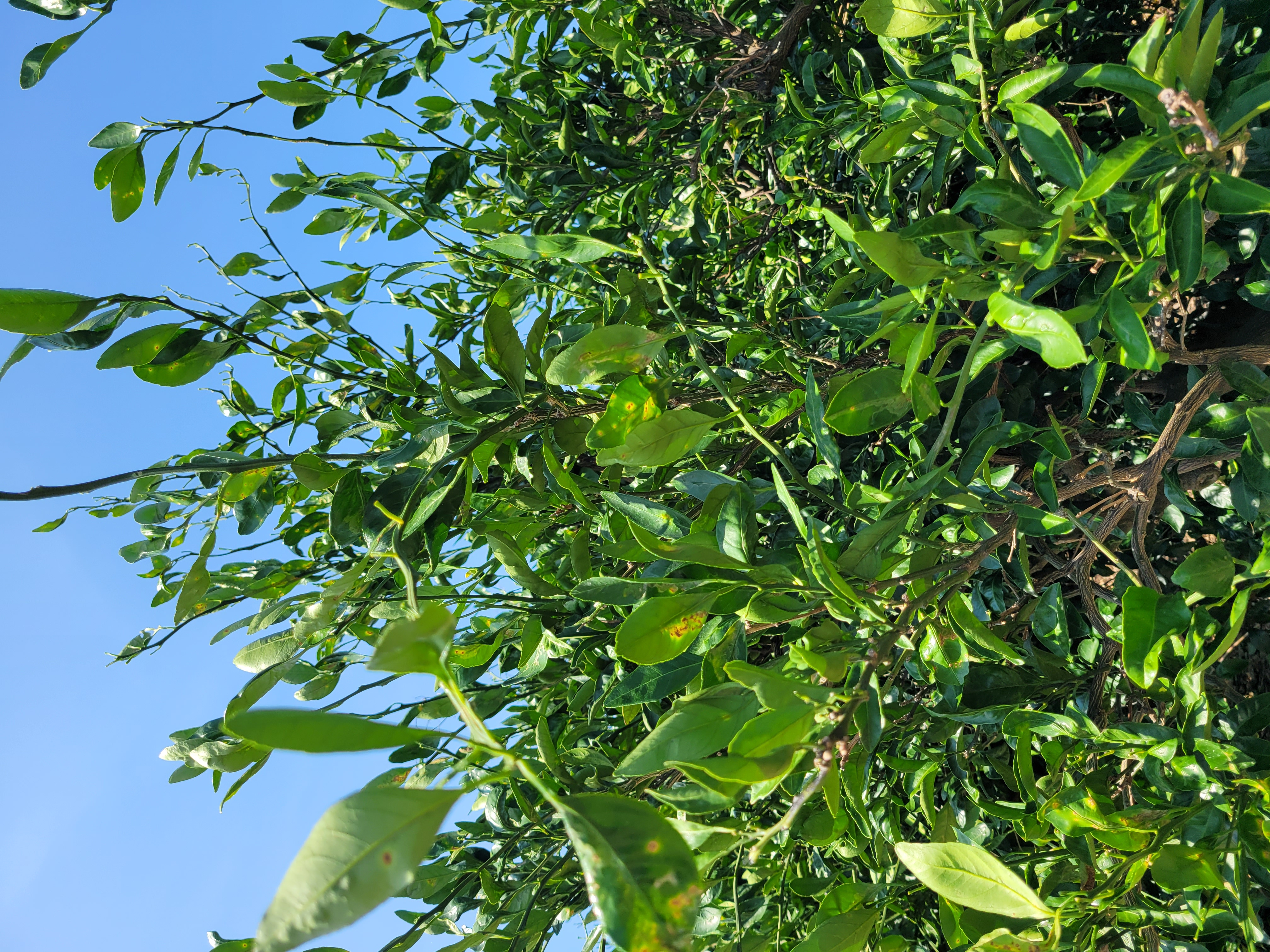 안녕하세요 문의드립니다