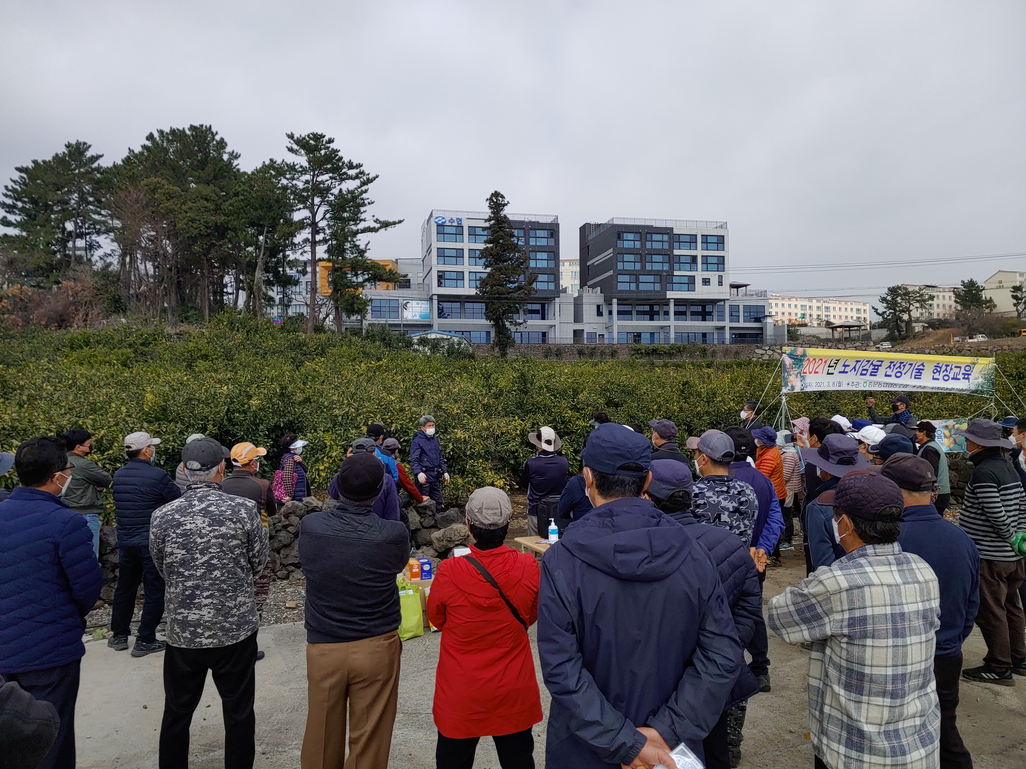 2021년 감귤 정지·전정 교육