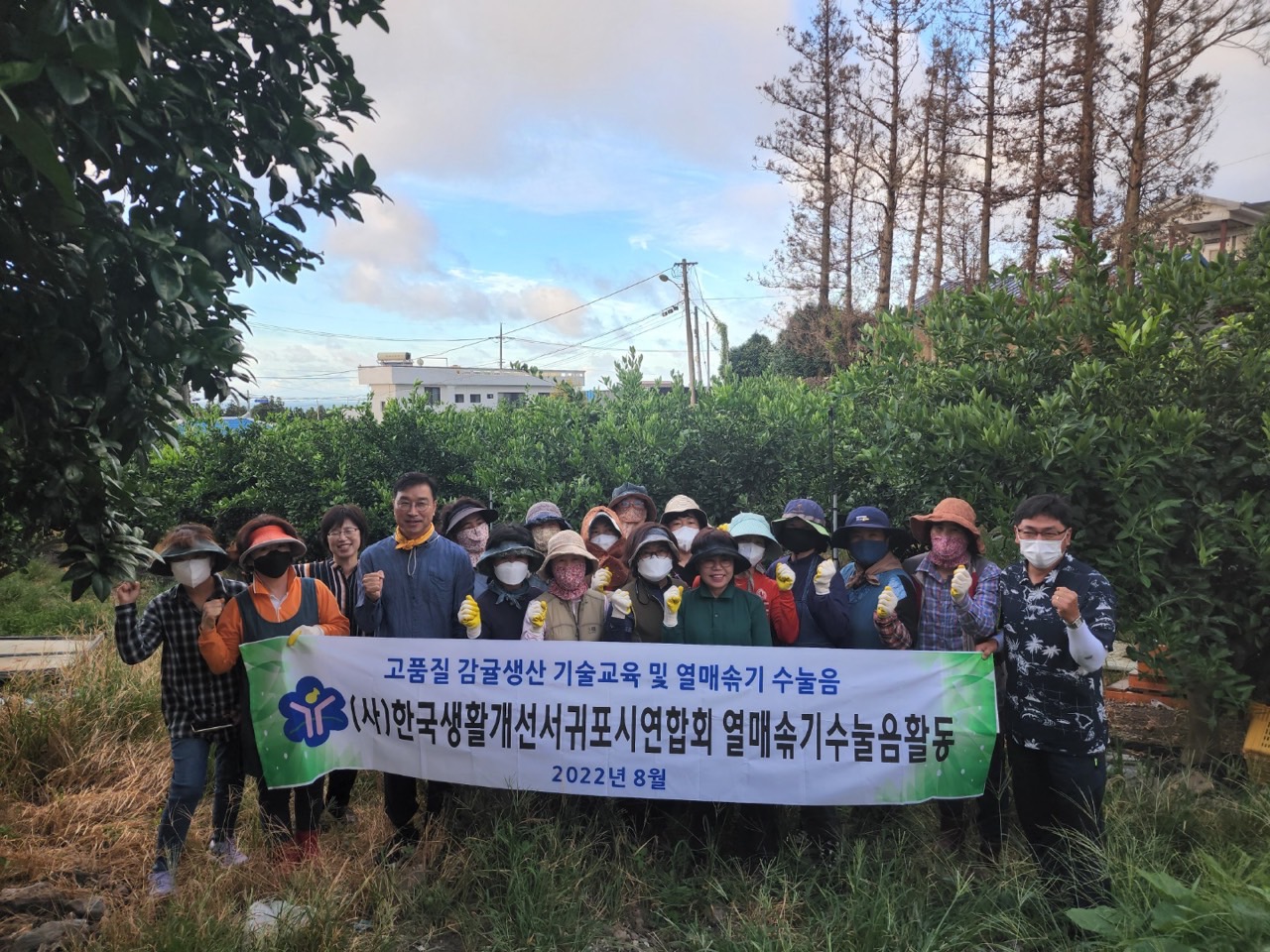고품질감귤 안정생산을 위한 생활개선회원 열매솎기 수눌음 지도