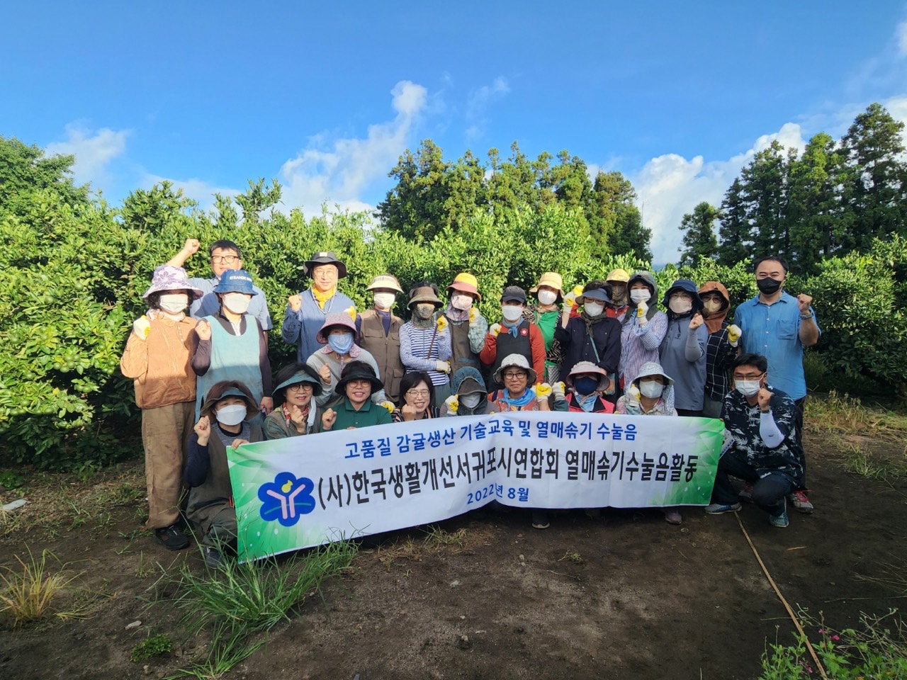 고품질감귤 안정생산을 위한 생활개선회원 열매솎기 수눌음 지도