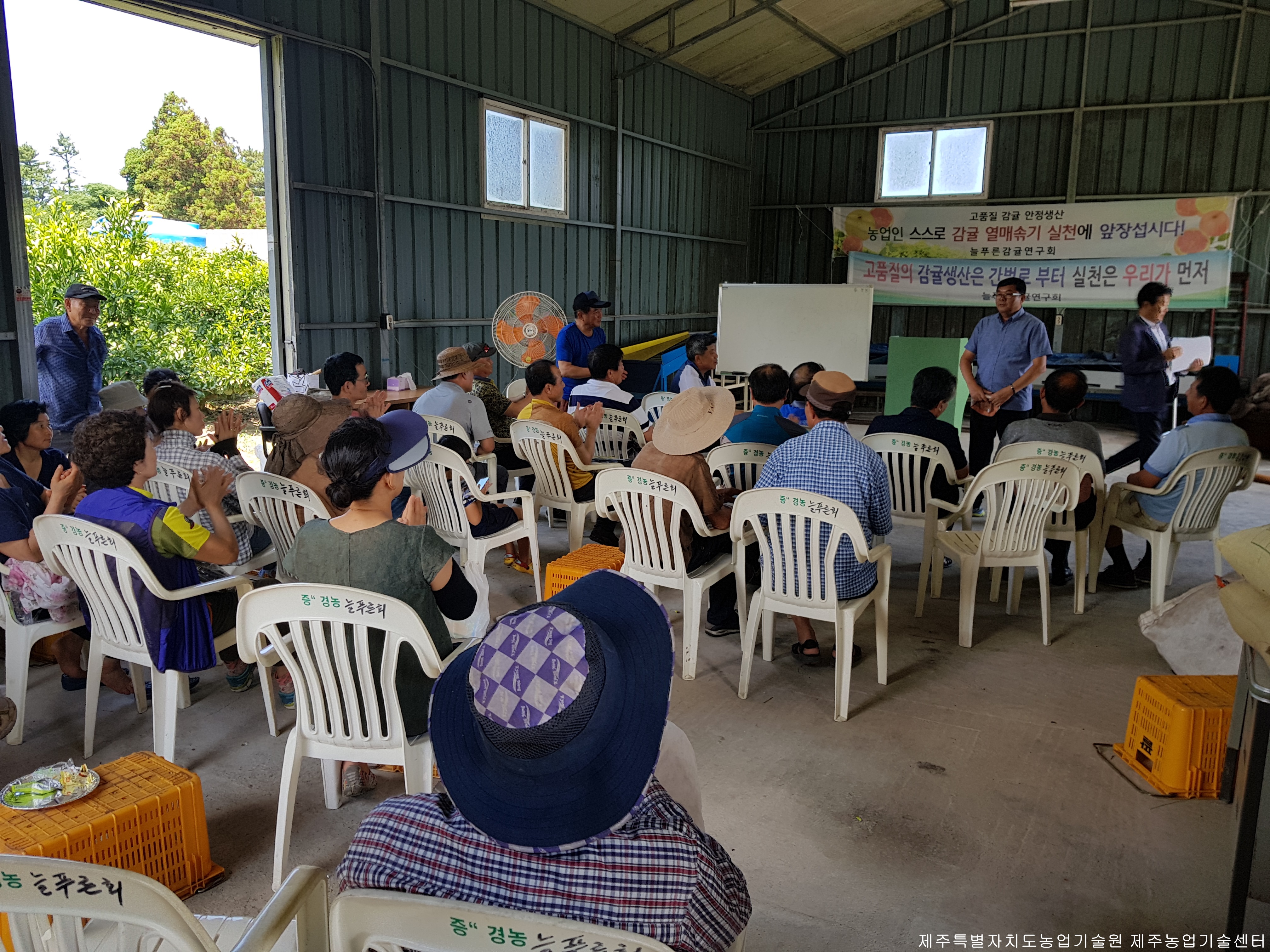 늘푸른감귤연구회 여름전정교육
