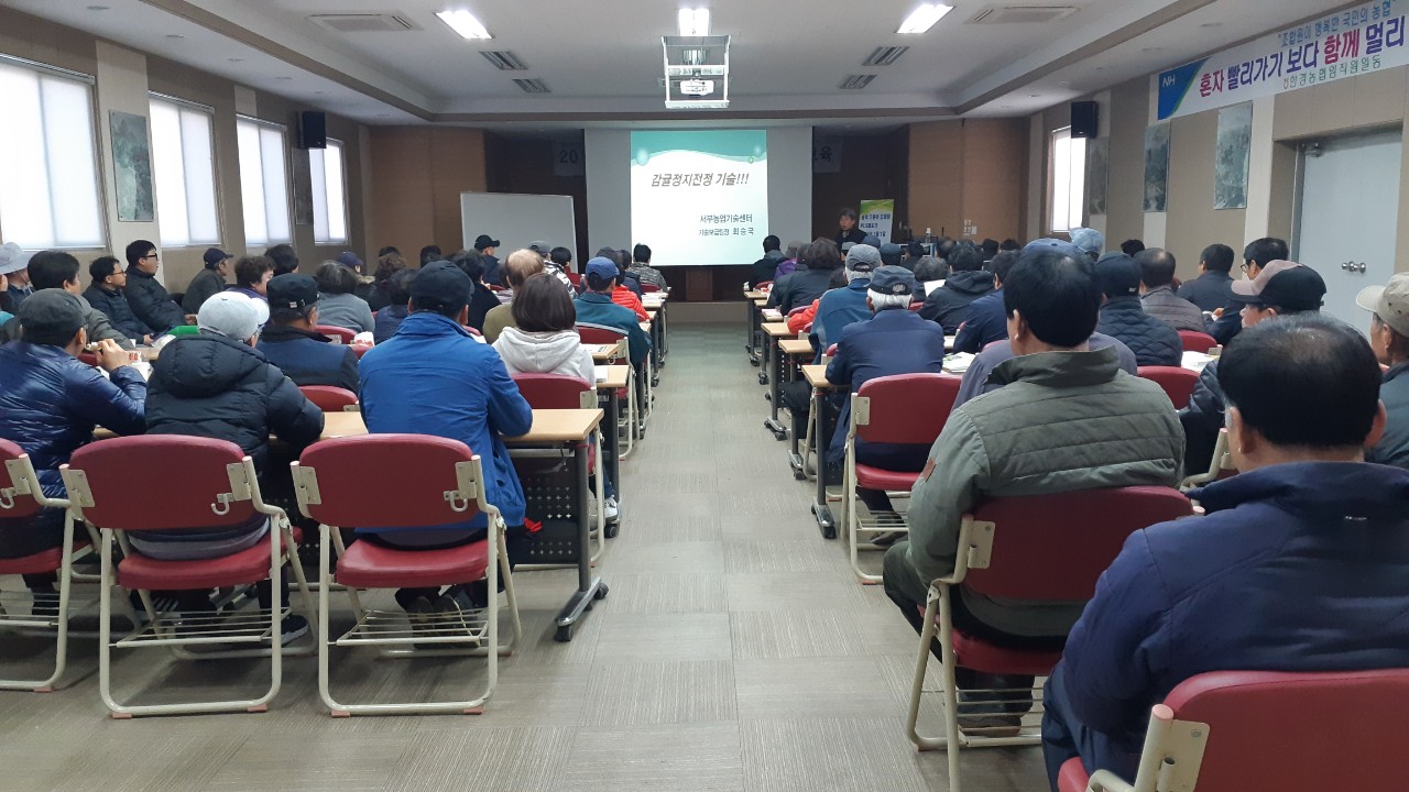 만감류 정지 전정교육(한경농협)