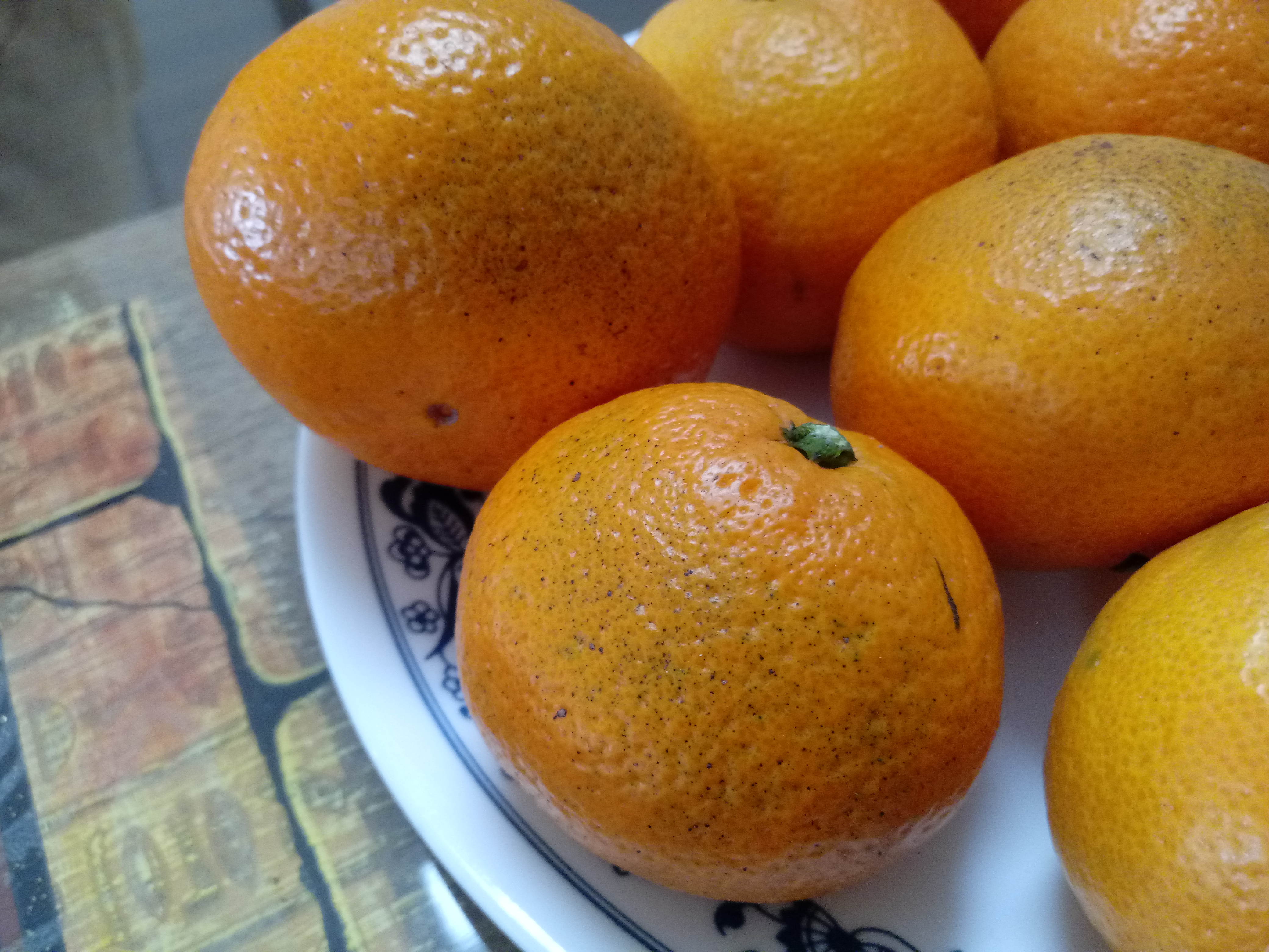 일사병?에 대하여 질문