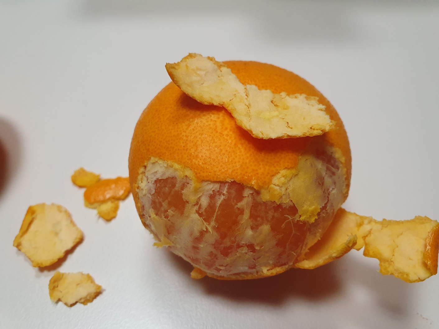 감귤 판별이 가능한가요??