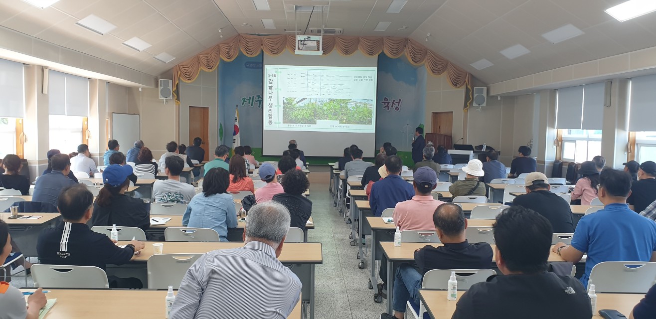 2024년 감귤분야 핵심기술교육(만감류 II반: 레드향, 황금향 중점)