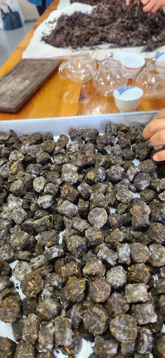 서귀포시차연구회 역량강화 교육