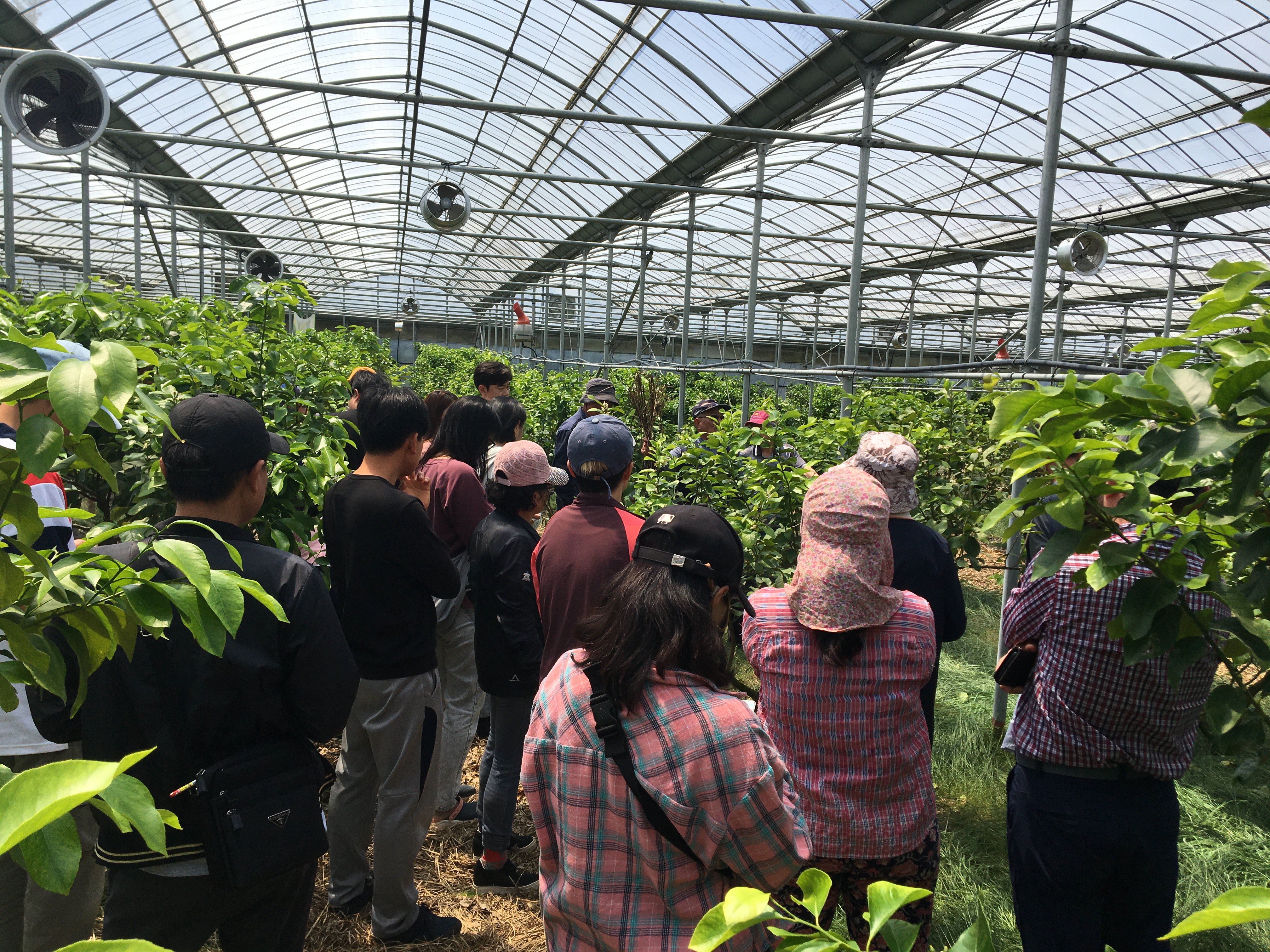 2024년 친환경농업 기초교육