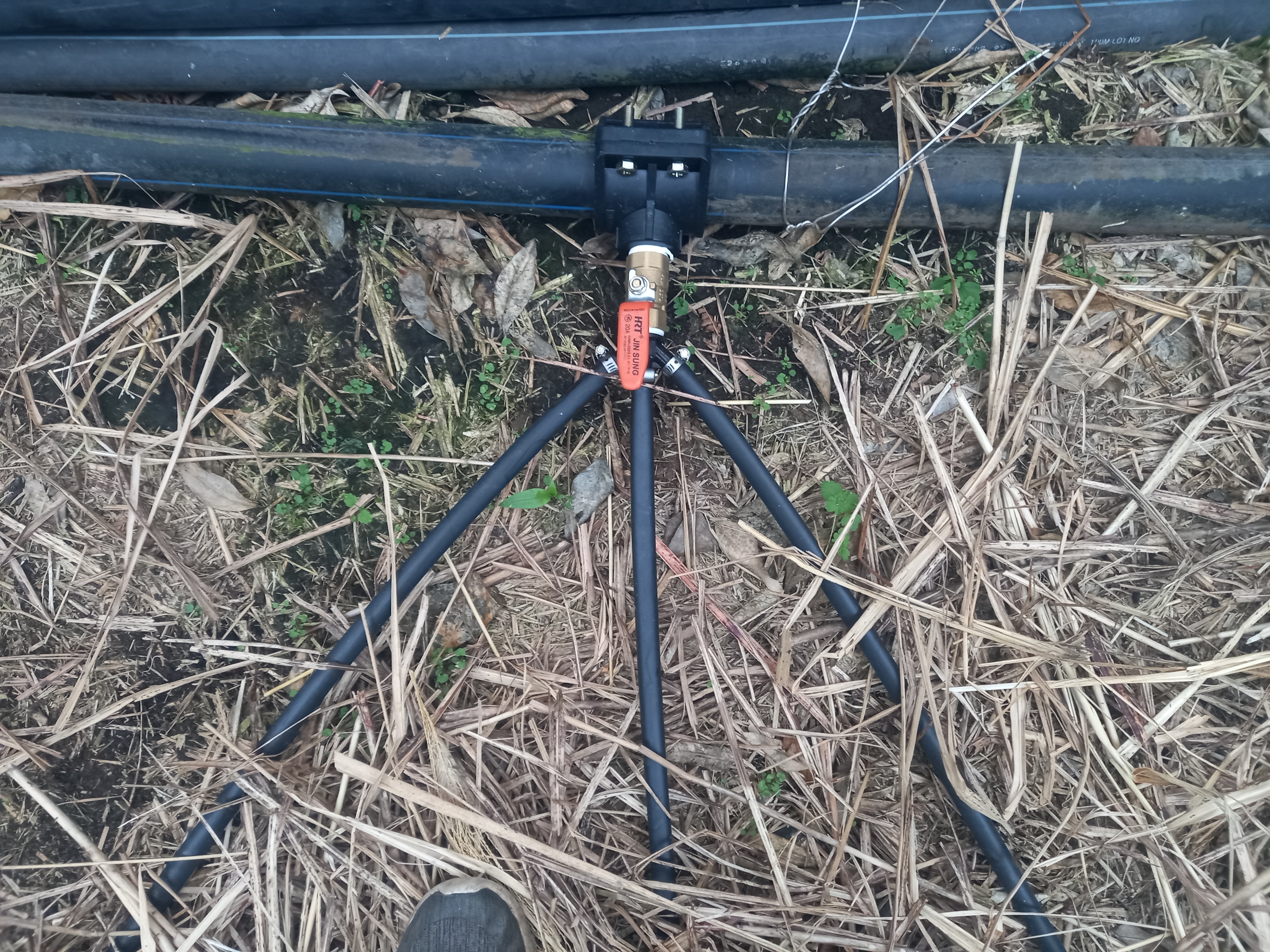 점적관수 사용시 물을 어느정도 줘야 할까요