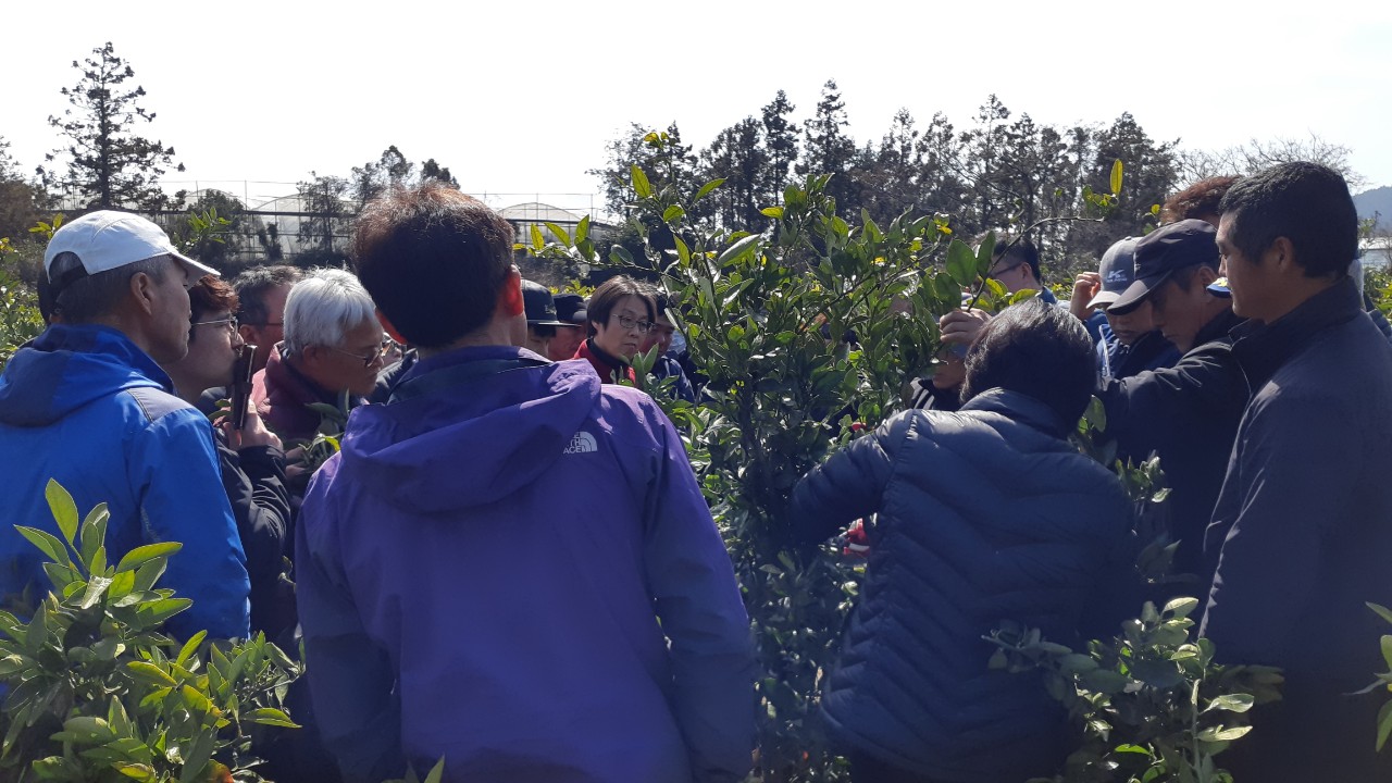 노지감귤 정지, 정전교육(서부센터)