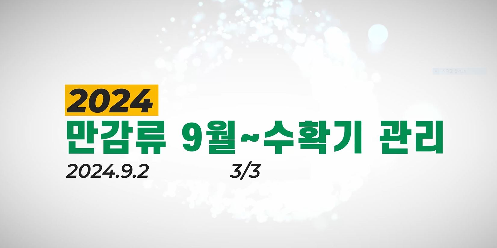 만감류 재배기술(9월~수확기 관리)3