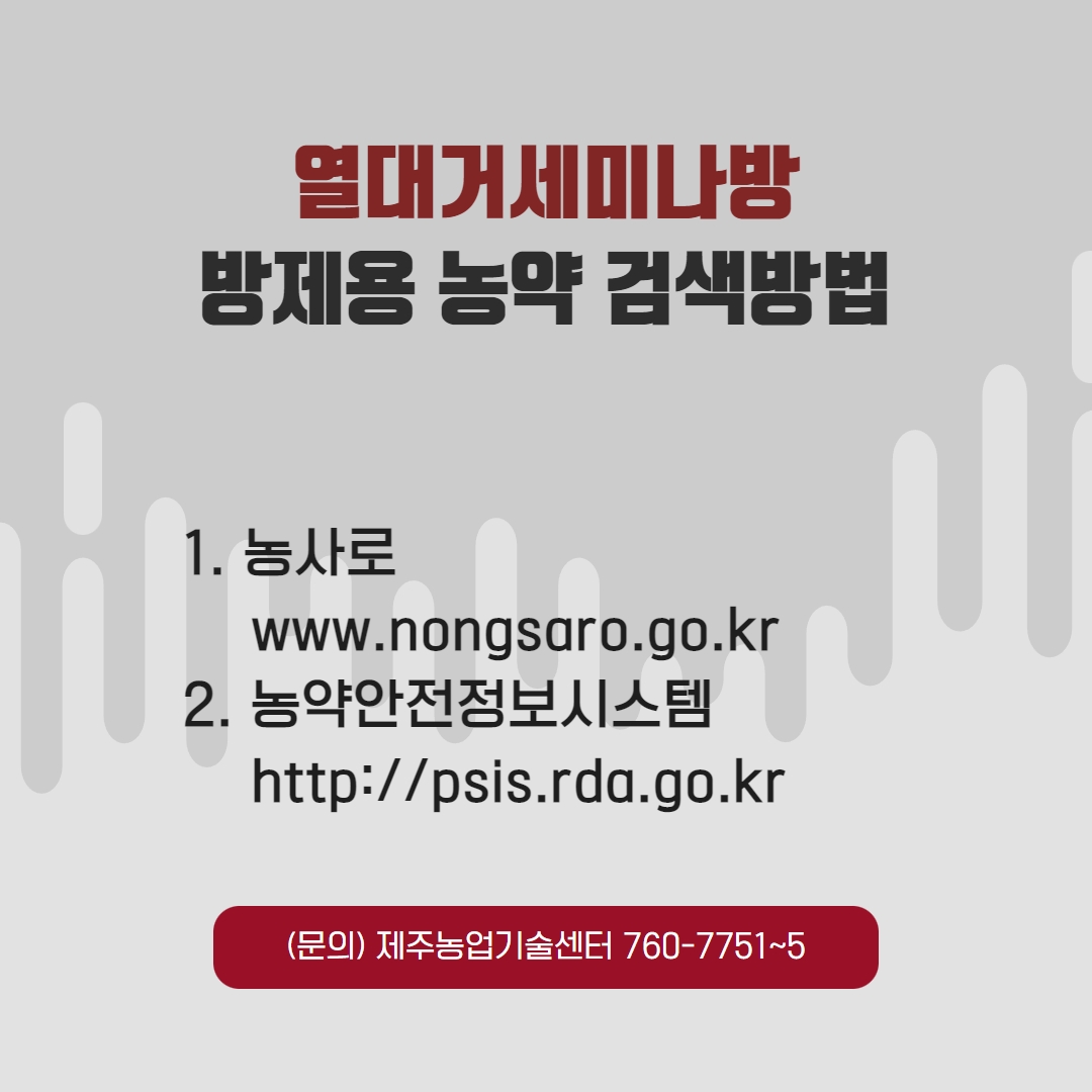 '열대거세미나방' 조기 발견과 신속한 방제가 필요합니다.