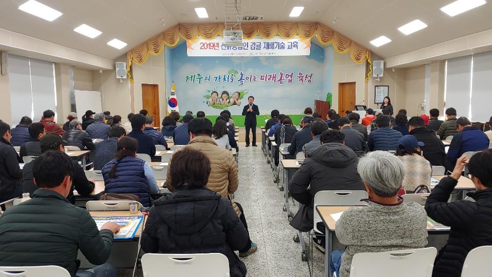 2019 신규농업인 감귤재배 교육 (1회차)