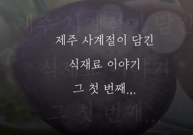 전통식문화 계승활동 지원 제주 식재료의 이해 과정 교육 동영상