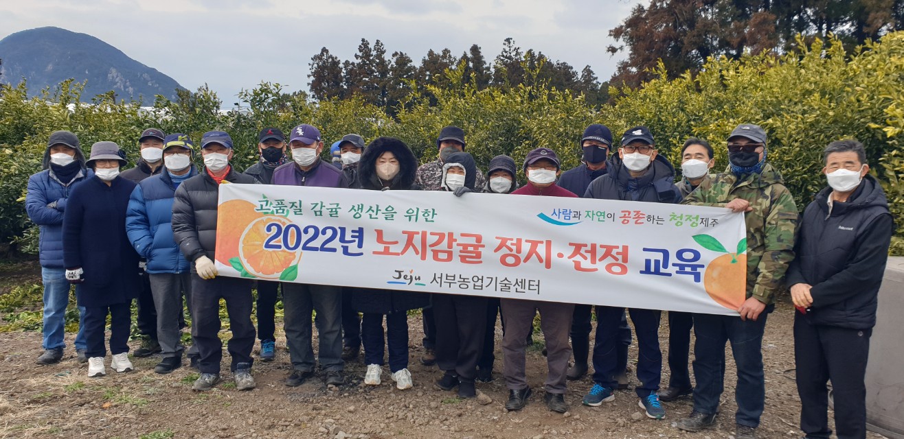 2022년 노지감귤 정지 전정교육
