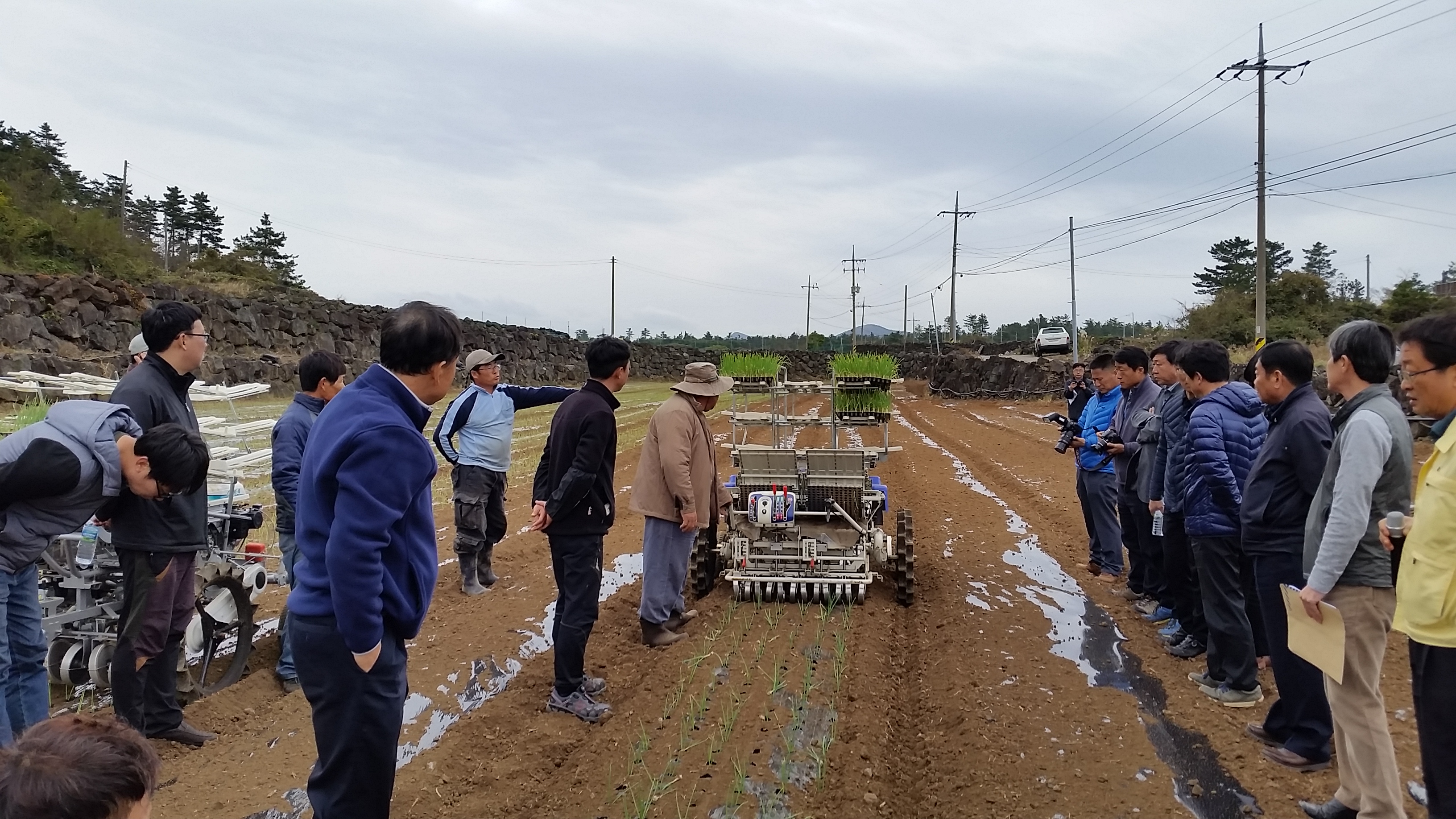 [밭작물팀] 2018 양파 기계정식(6조) 연시회 개최