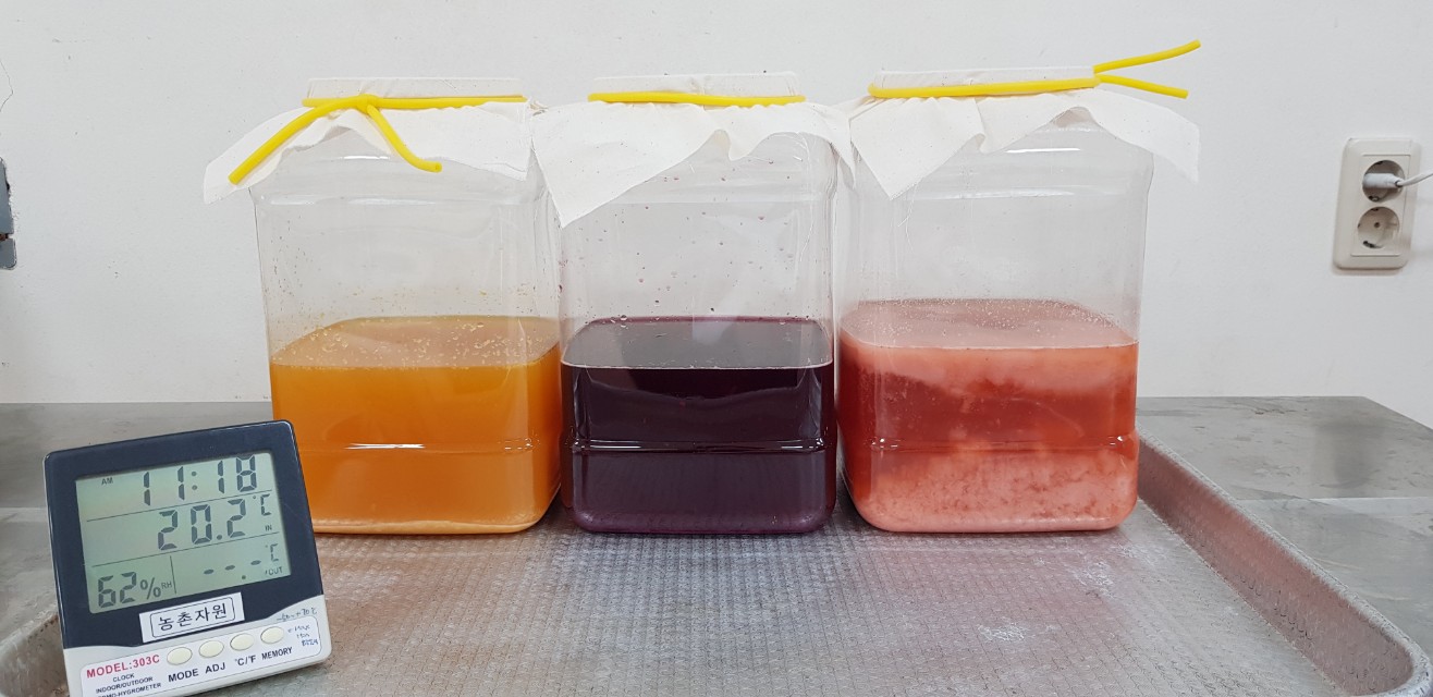 발효의 꽃 <천연발효식초 아카데미> 교육