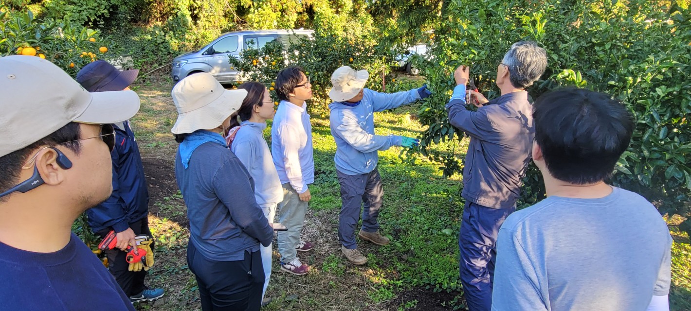 2023 청년농업인 감귤류 가을철 정지․전정  컨설팅