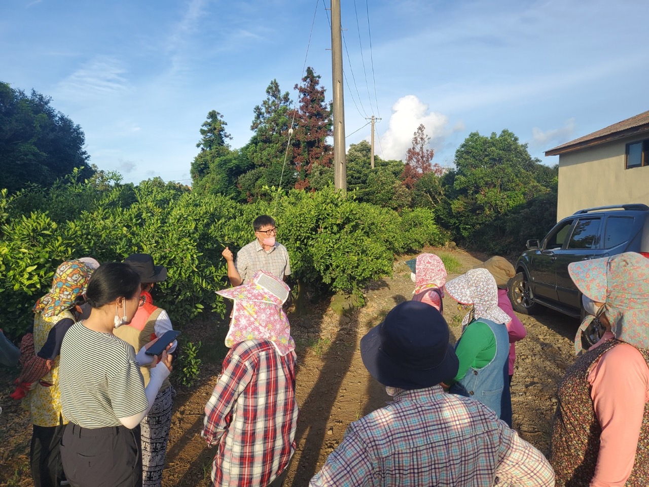 고품질감귤 안정생산을 위한 생활개선회원 열매솎기 수눌음 지도       