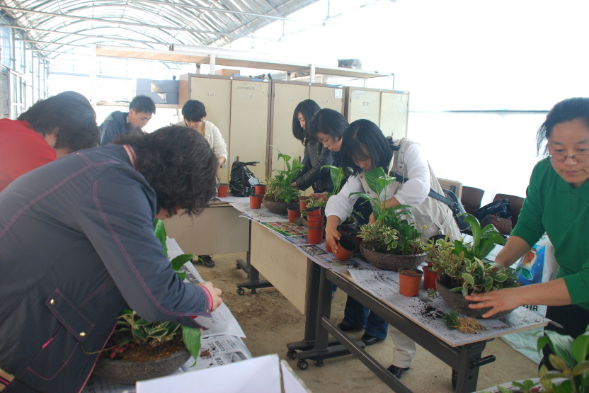 가정 원예 생활화 교육사진