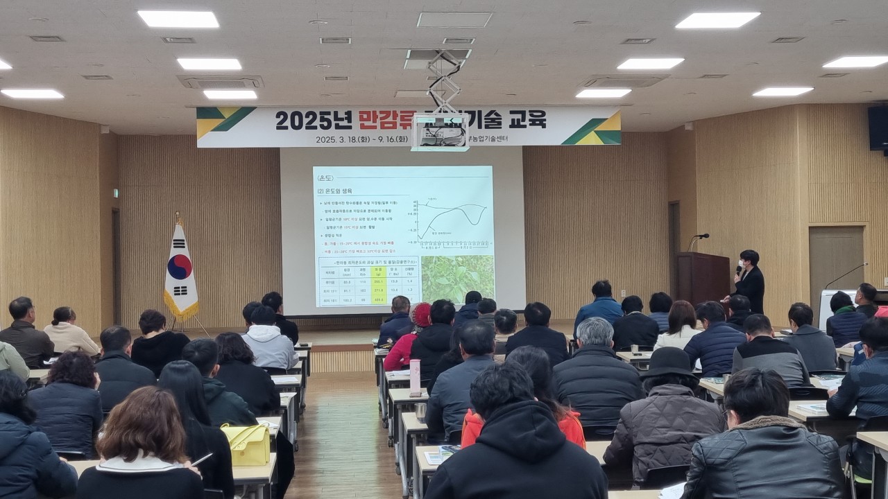 2025년 만감류 재배기술 교육(1회차)