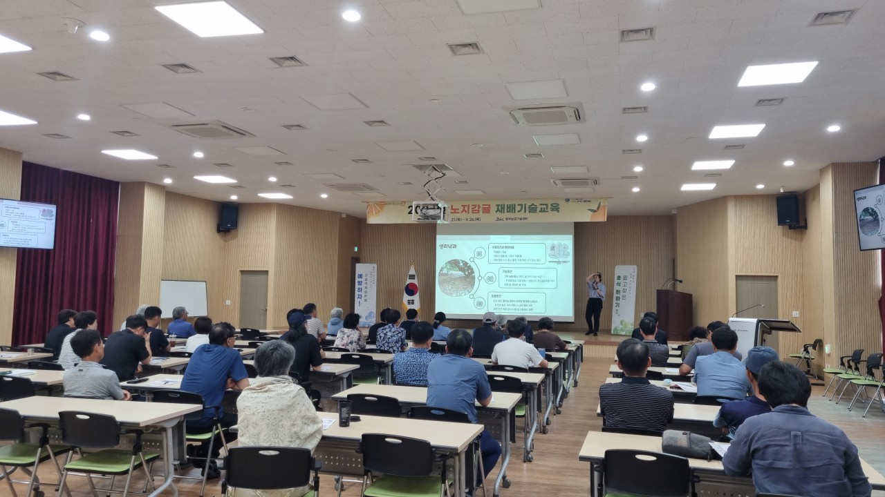 2024년 노지감귤 재배기술 교육(3회차)