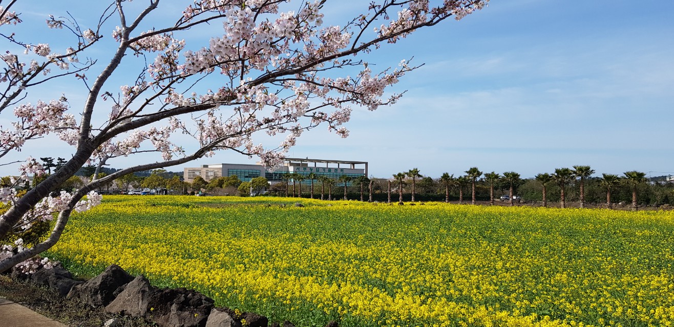 서부농업기술센터의 봄 입니다.