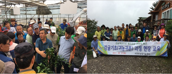 6월 감귤기초 현장교육 