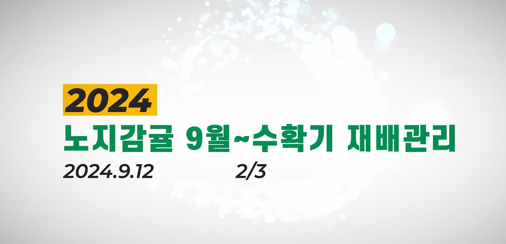노지감귤 9월~수확기 재배기술 2
