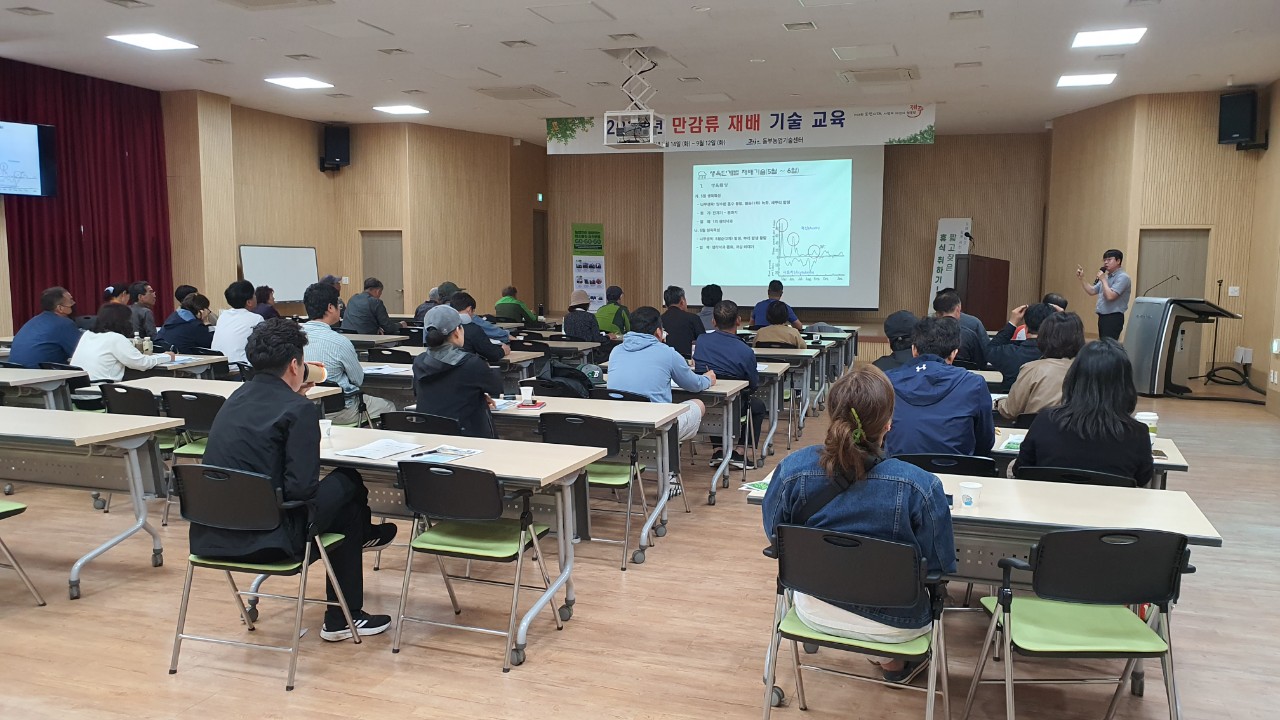 2023년 만감류 재배기술 교육