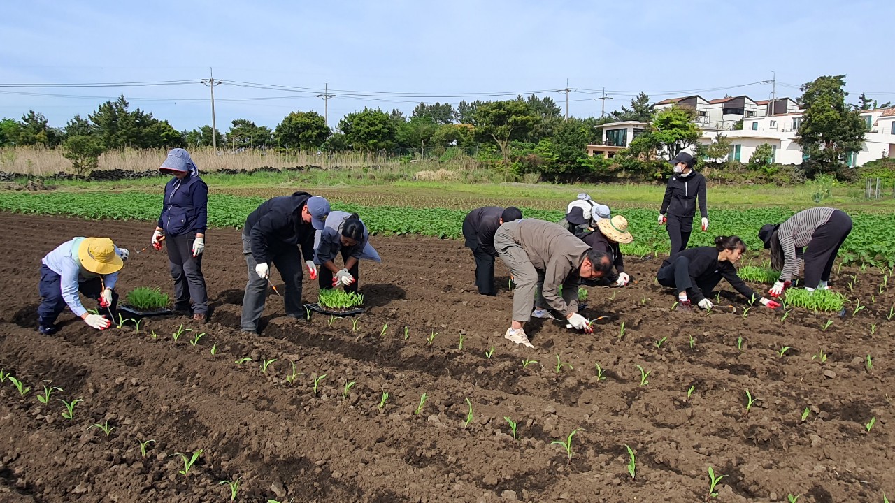 2024 신규농업인 기초영농기술교육(6회차)