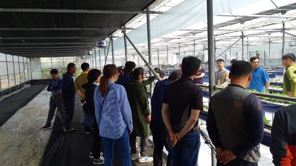 시설딸기 재배기술(중급) 2회차 교육 