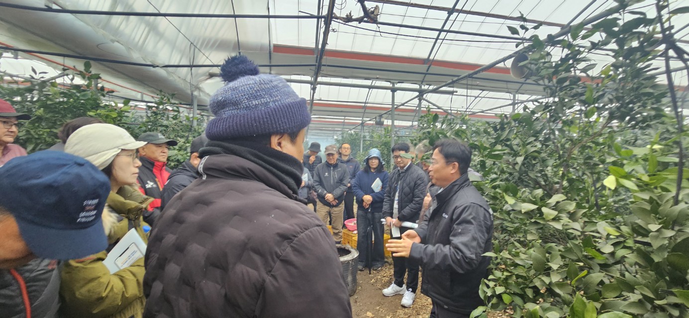 2026년 감귤류 정지.전정 기술교육 추진-7회차