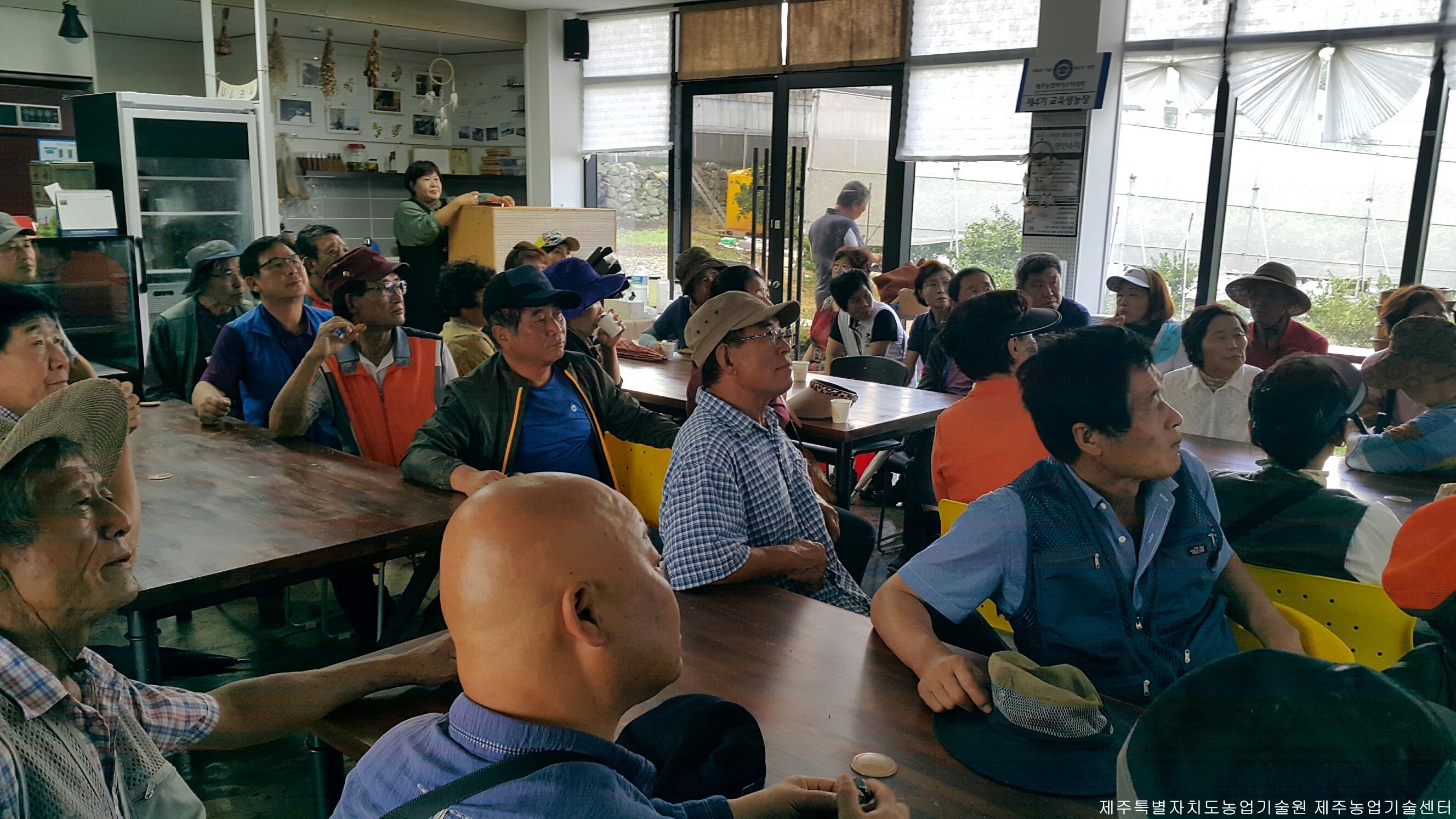 늘푸른감귤연구회 역량강화 현장교육