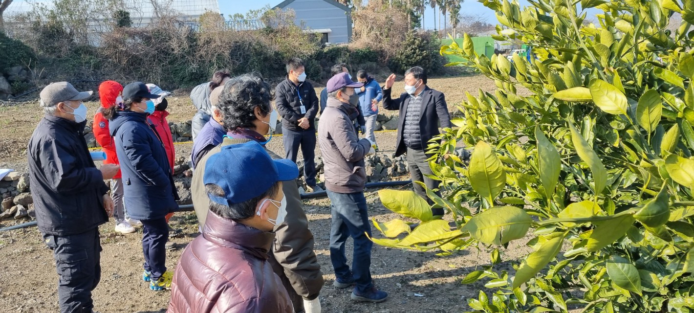 2022년 노지감귤 정지 전정교육