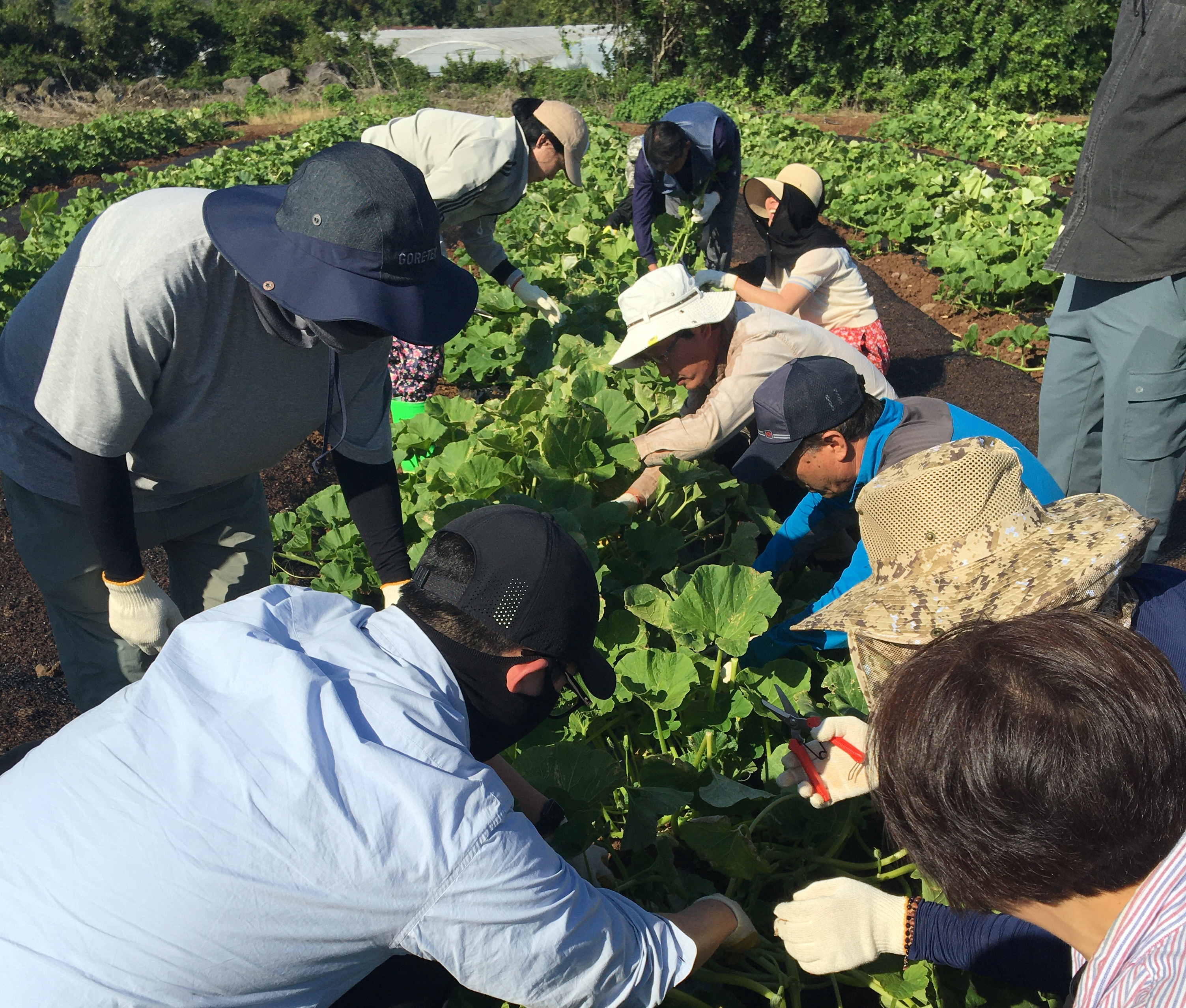 2024년 신규농업인 기초영농기술교육(원예과정)