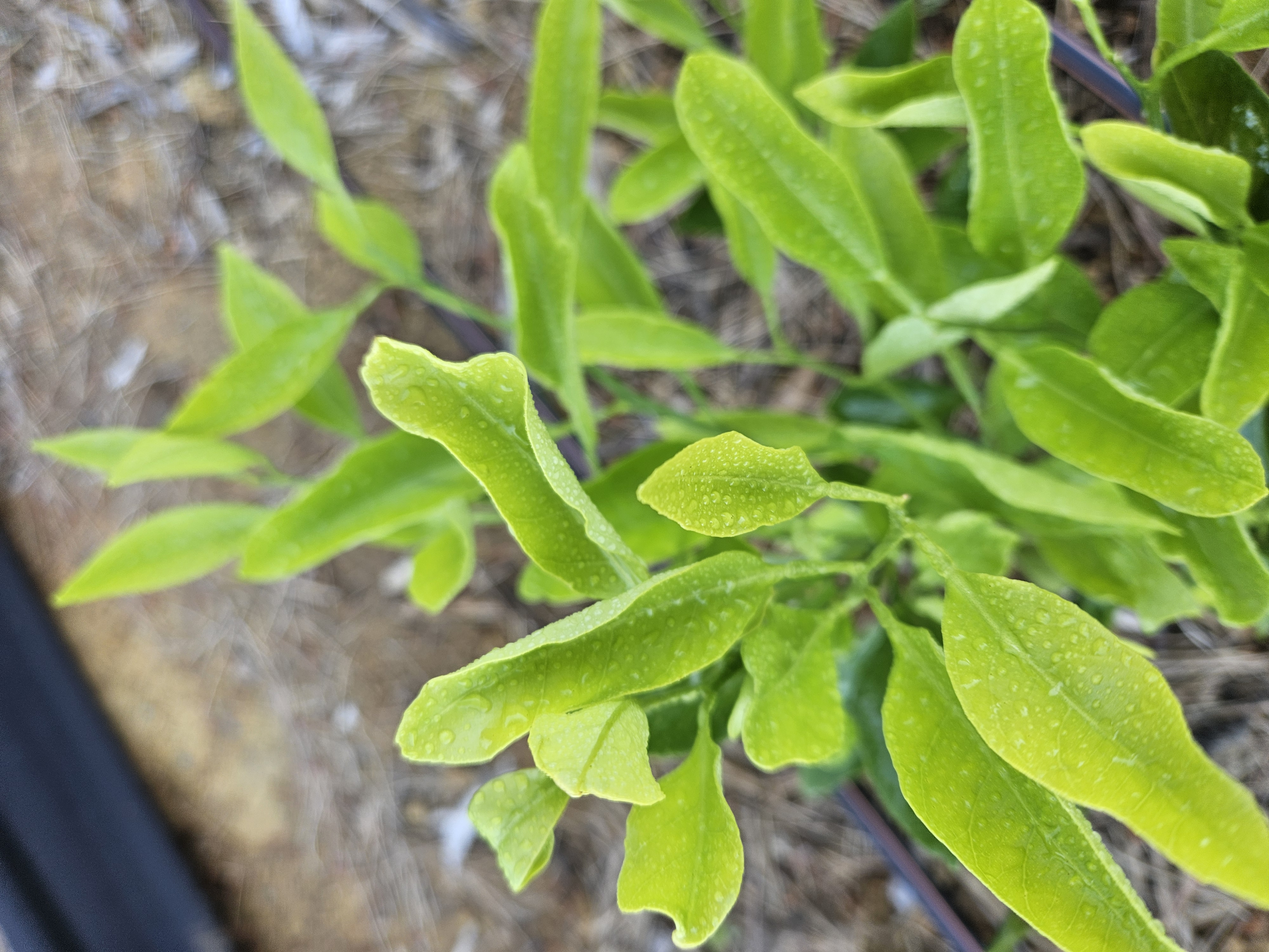 새순문의입니다.