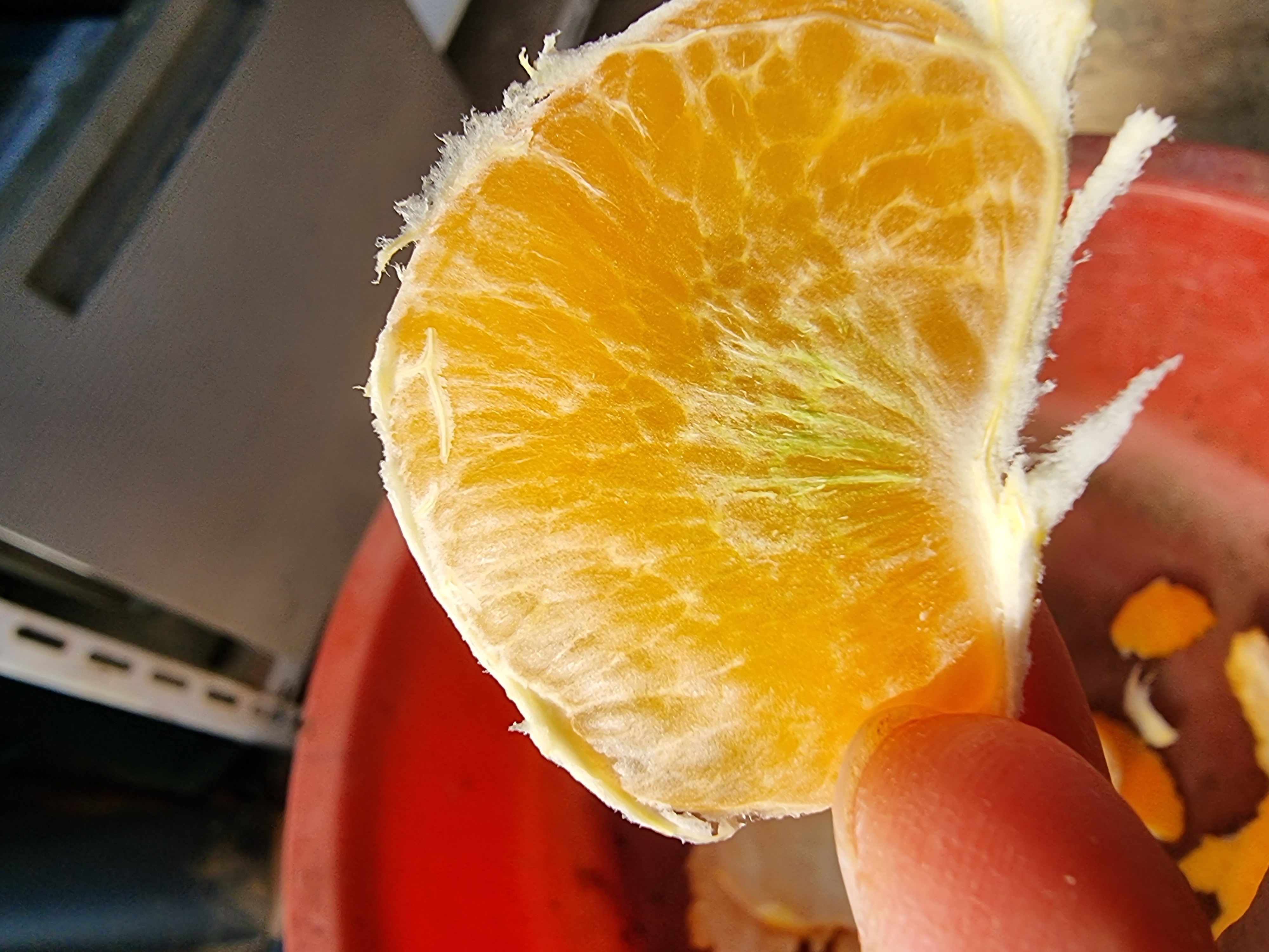 천혜향 과육에 초록색은 왠지요?