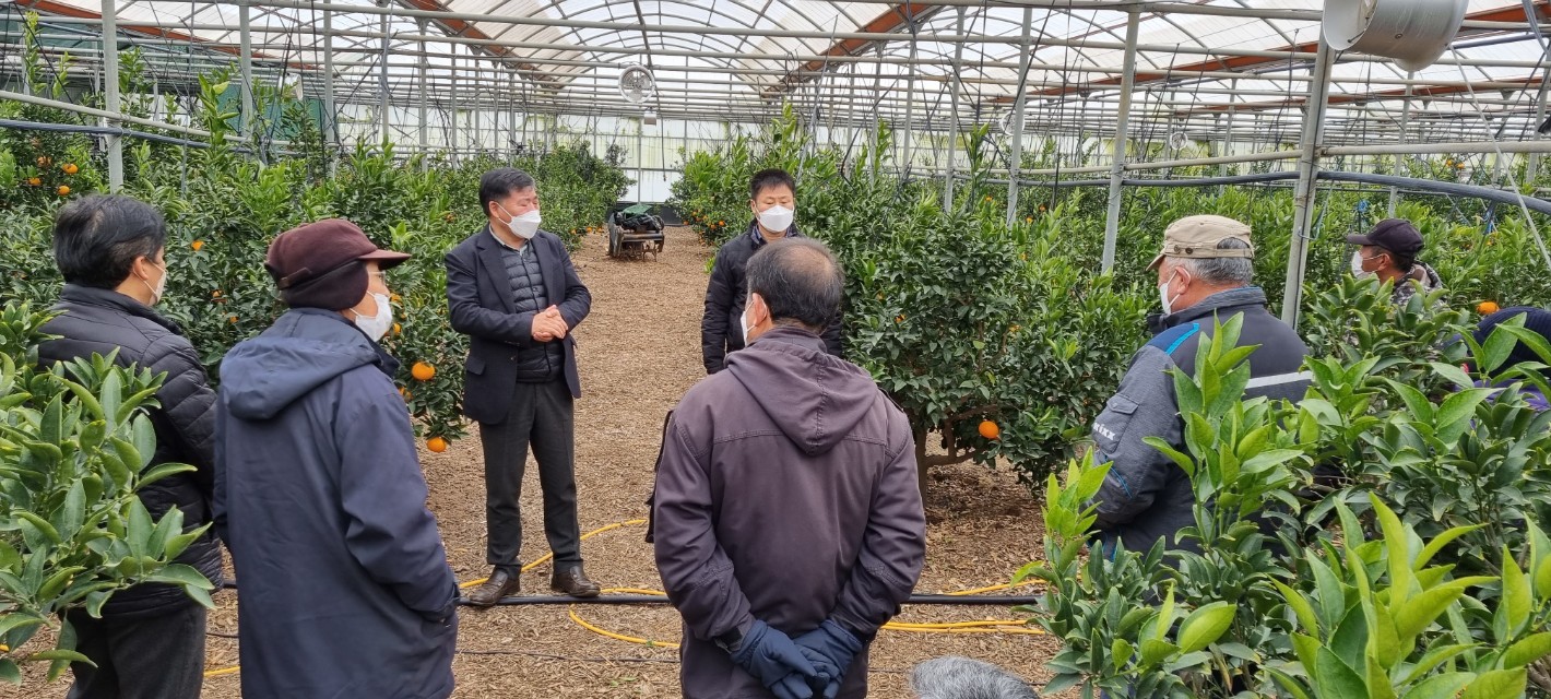 2022년 만감류 전지, 전정교육