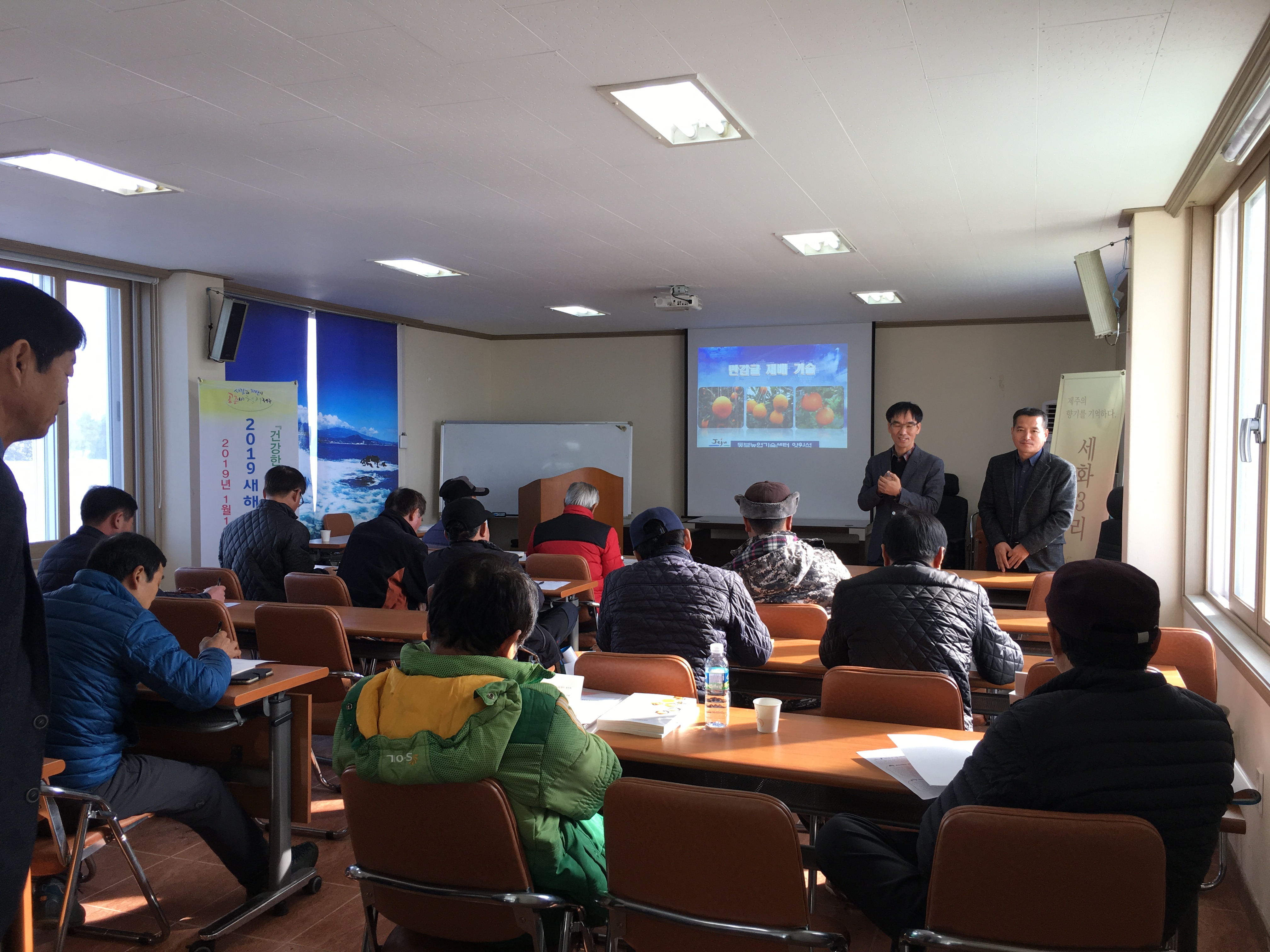 2019년 새해농업인 실용교육(세화3리사무소, 만감류)