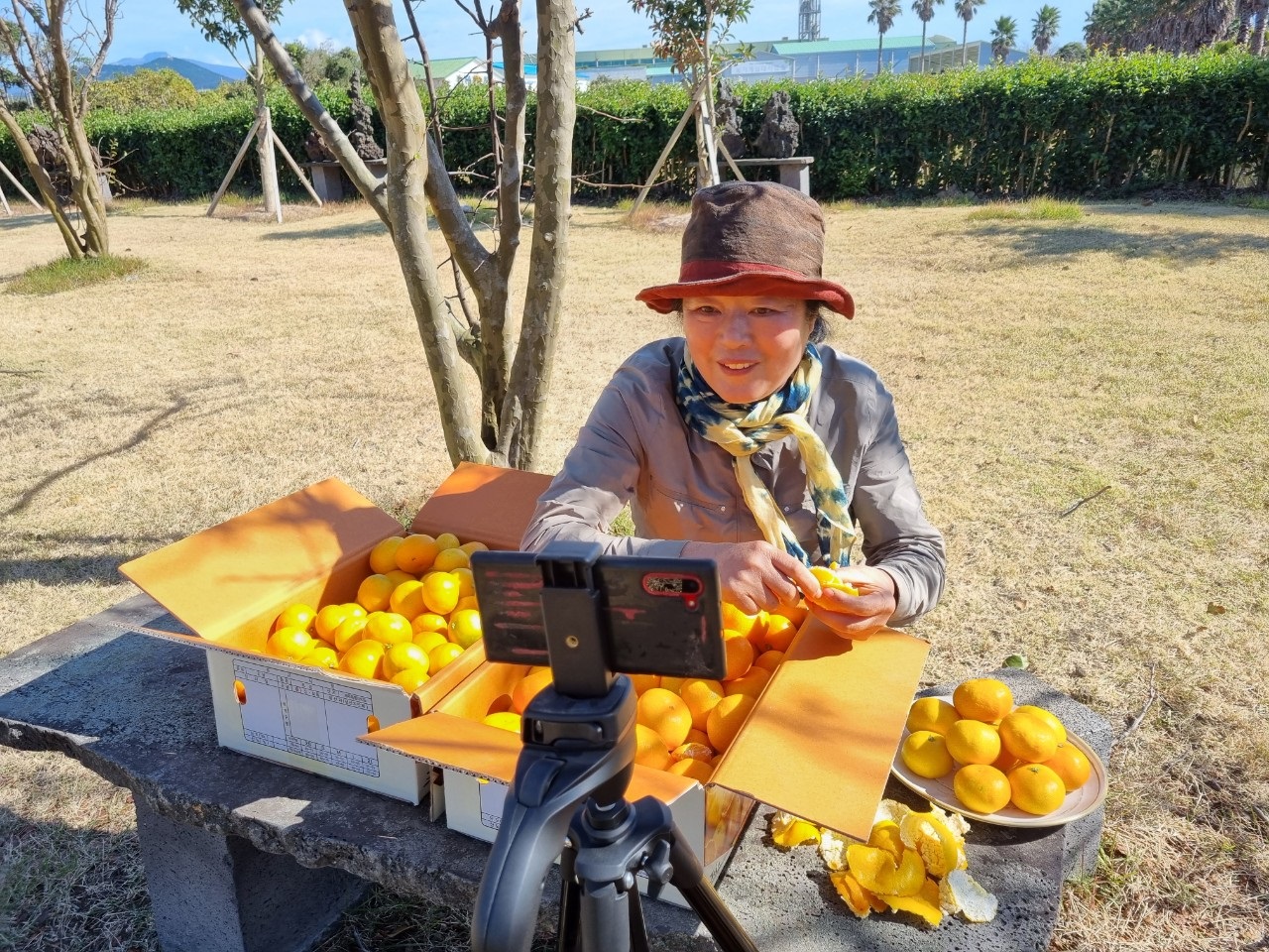 2022년 강소농 라이브 커머스 활용 농산물 마케팅 교육