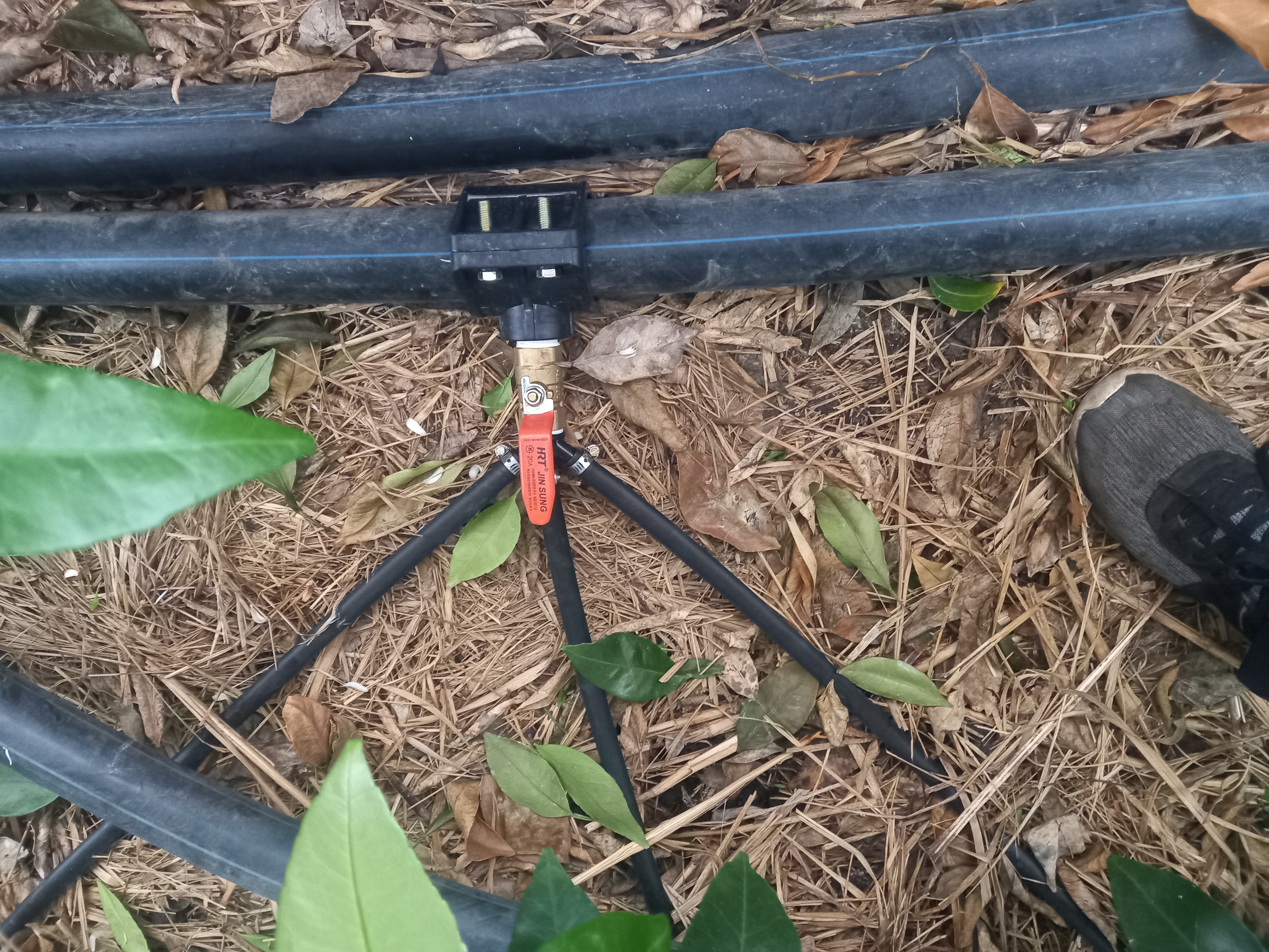 점적관수 사용시 물을 어느정도 줘야 할까요