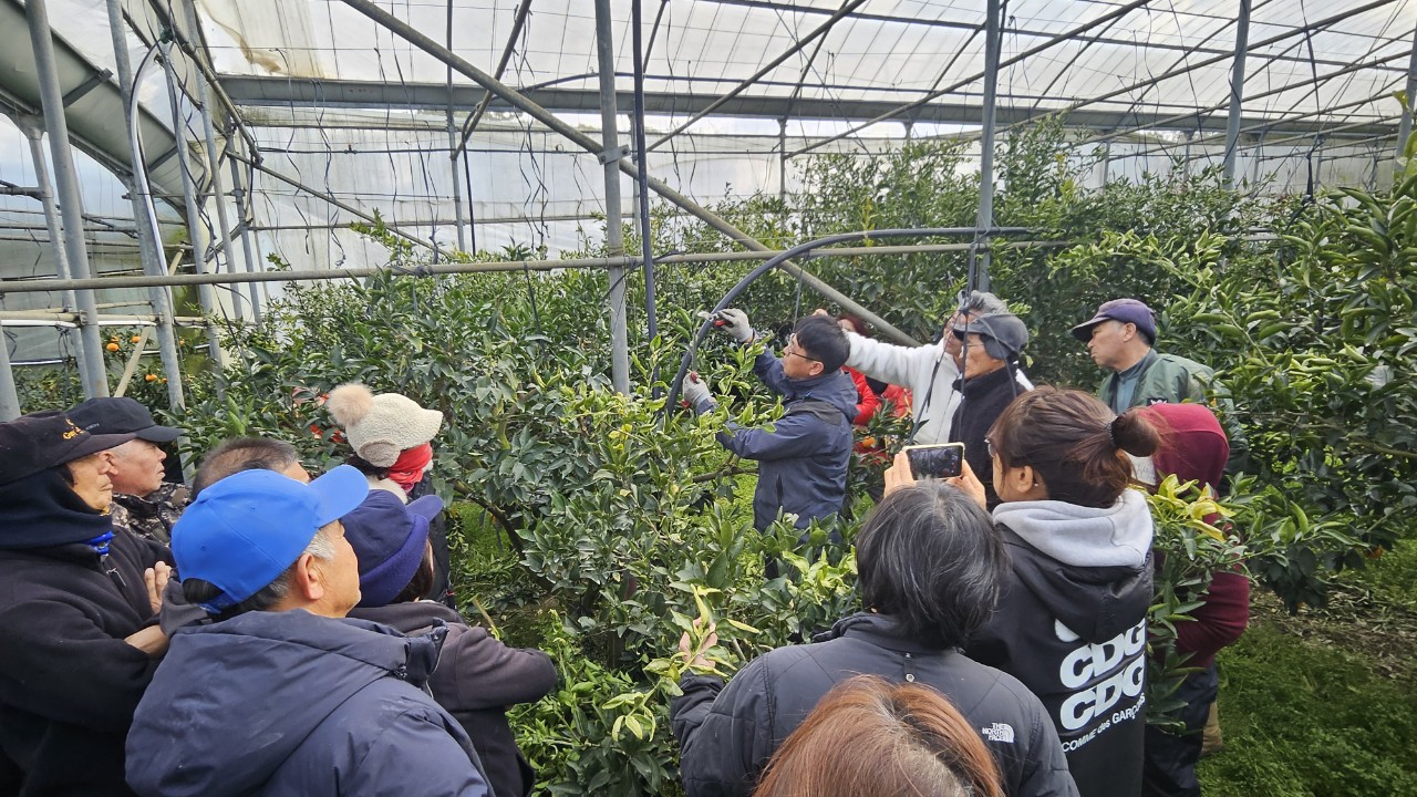 감귤류 정지전정교육(2.18 고산농협)
