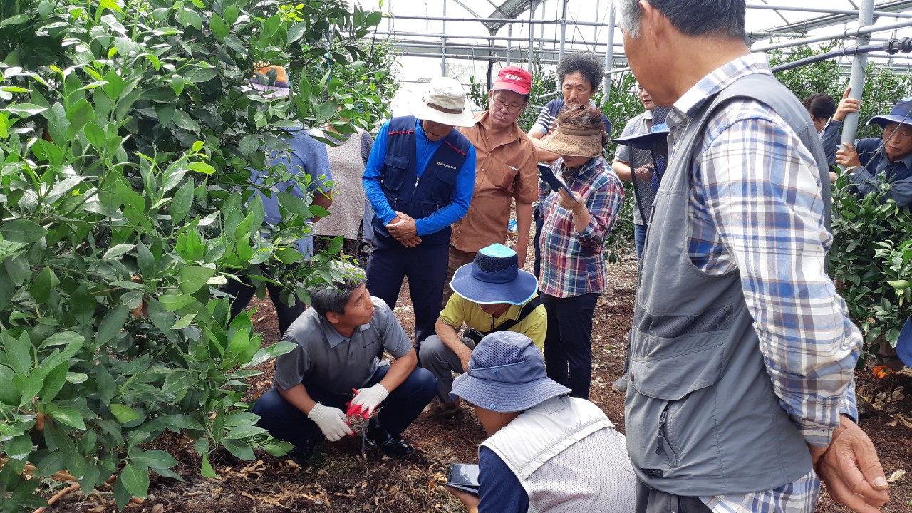 2019 하절기 찾아가는 맞춤형 영농교육