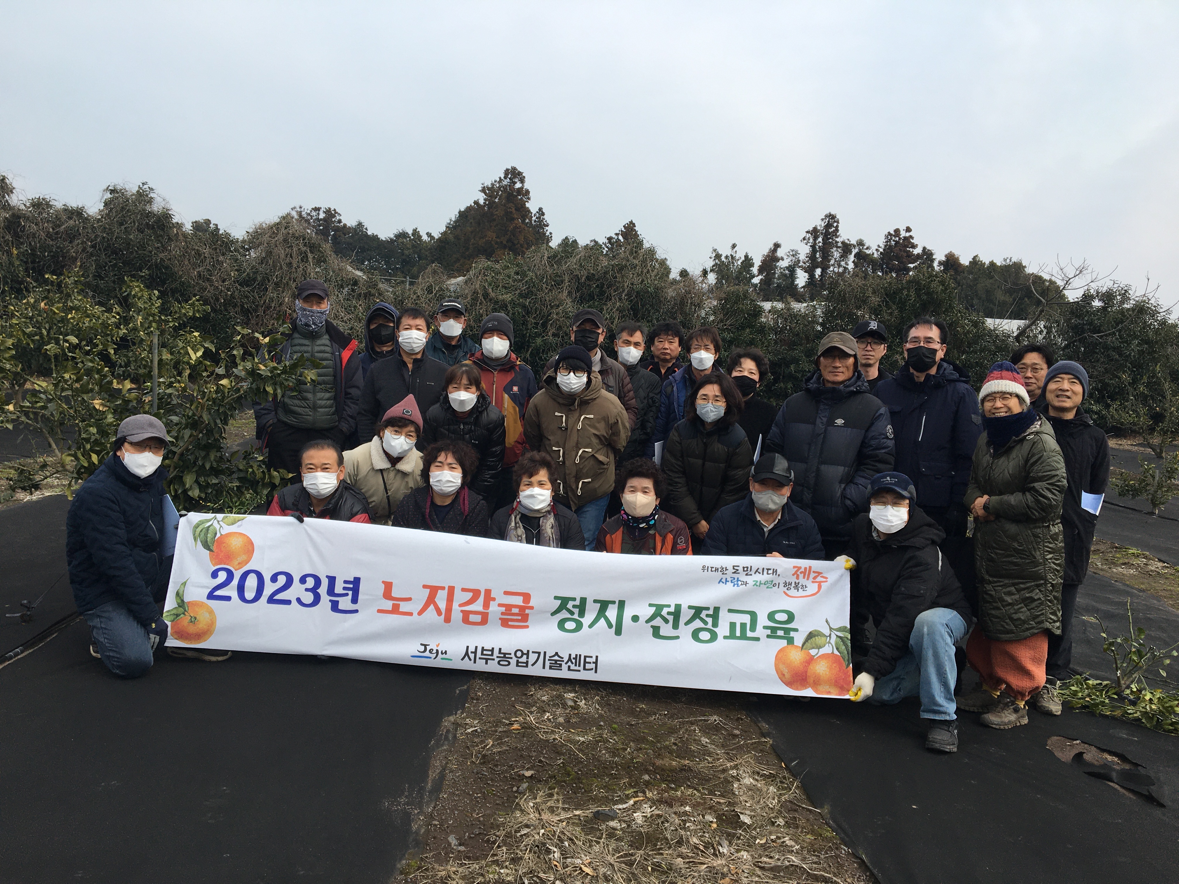 2023년 노지감귤 정지·전정교육