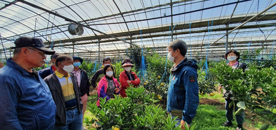 2020 TOP한라봉연구회 현장컨설팅 결과