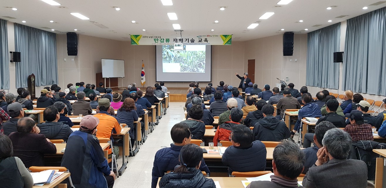 만감류 재배기술교육(1회차)