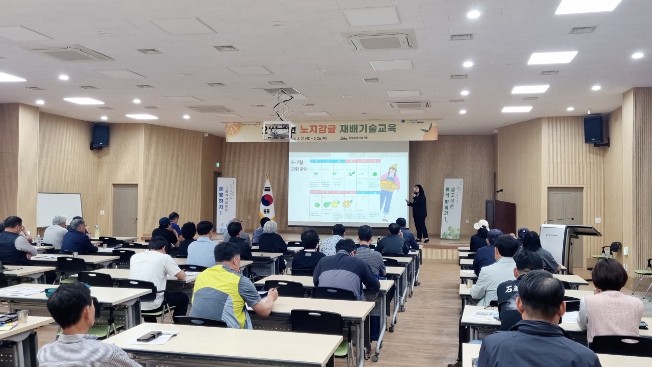 2024년 노지감귤 재배기술 교육(2회차)