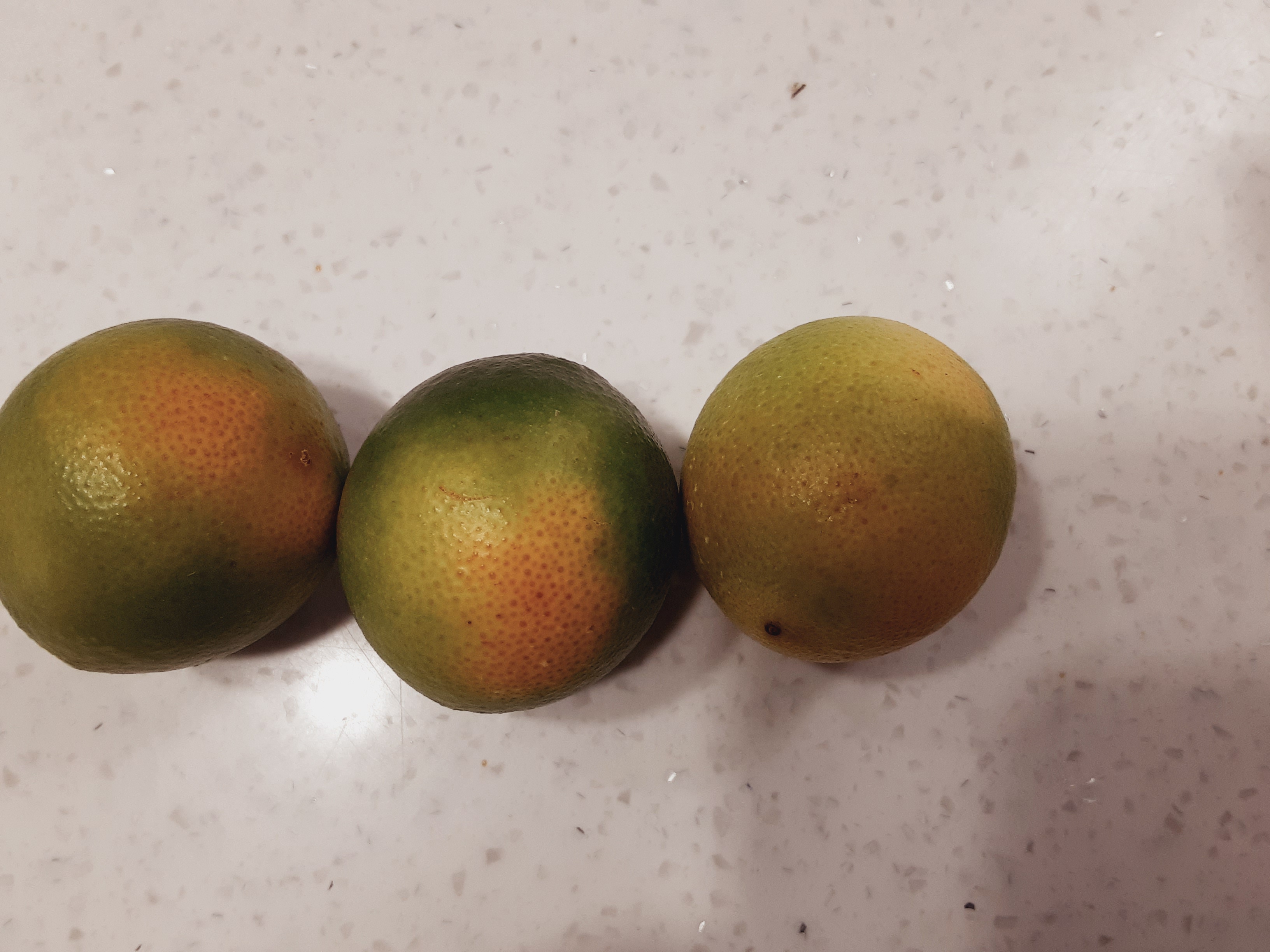 황금향 열매에 대해 문의드립니다.