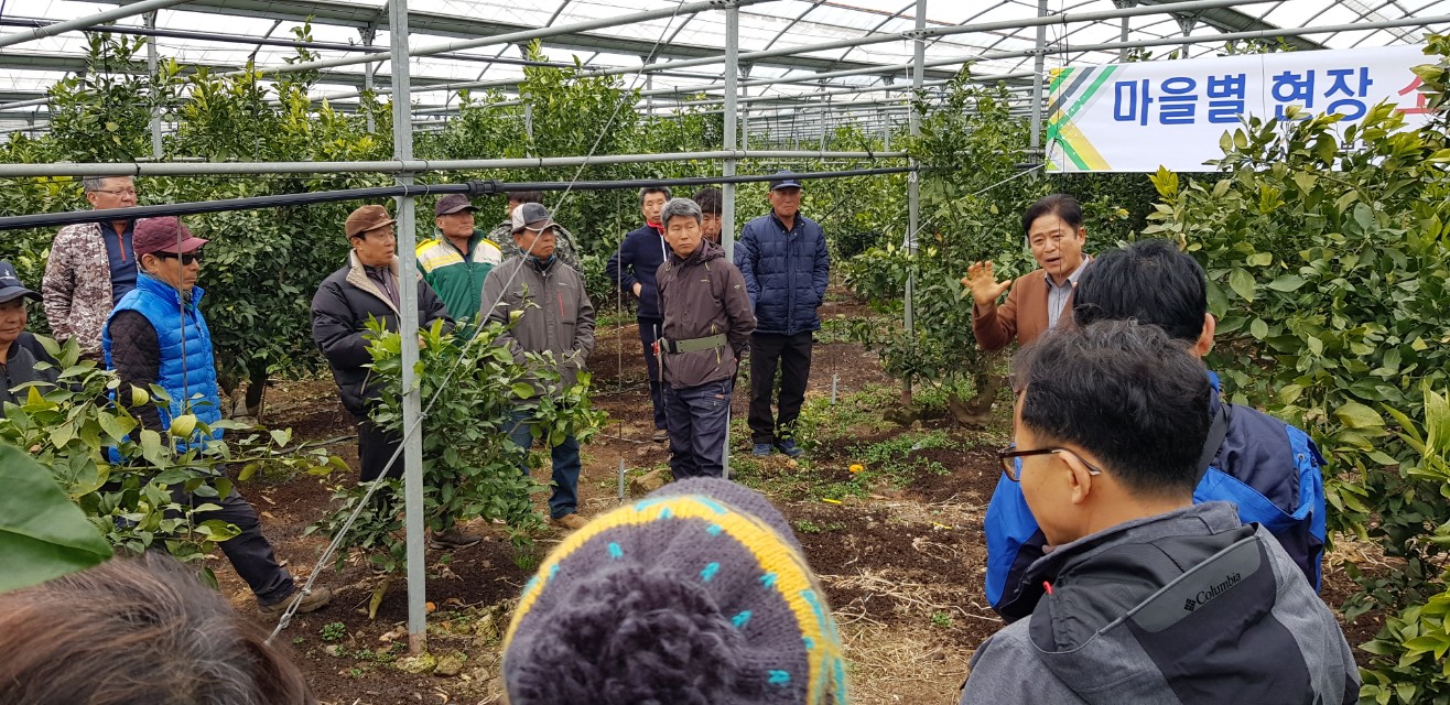 마을별 현장소통의 날 운영 (보성리)