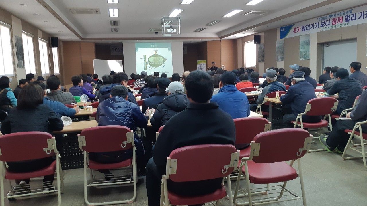 만감류 정지 전정교육(한경농협)